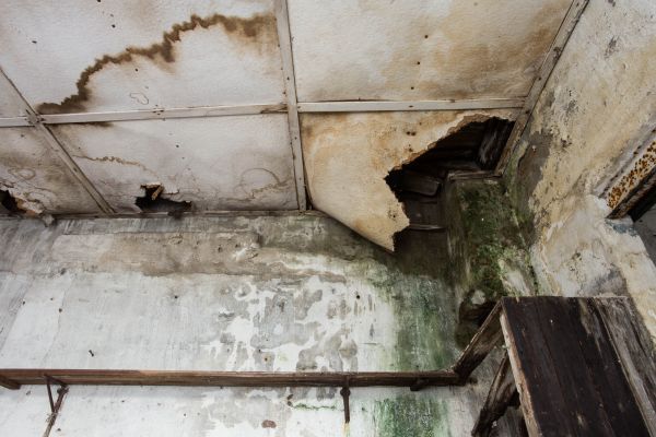 Water Damage Service in Saint Petersburg