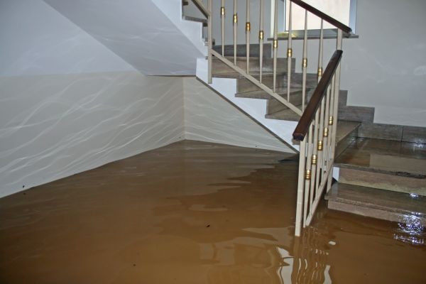 Storm Damage Restoration in Saint Petersburg