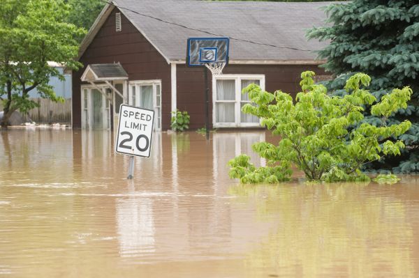 Storm Restoration Service in Saint Petersburg