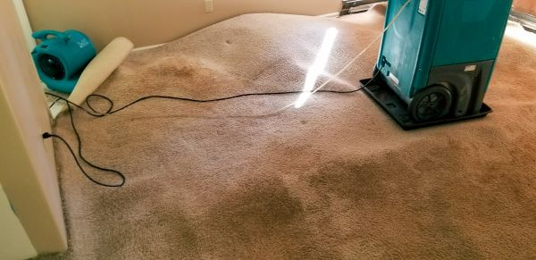Flood Damage Cleanup in Saint Petersburg