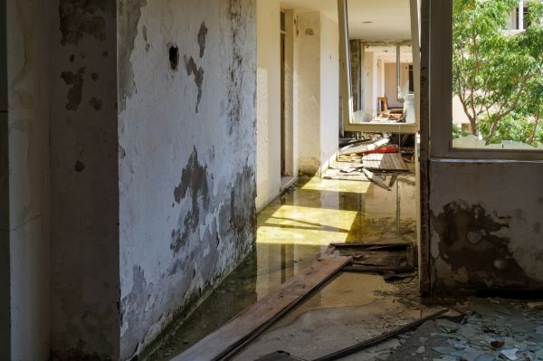 Water Removal Service in Saint Petersburg