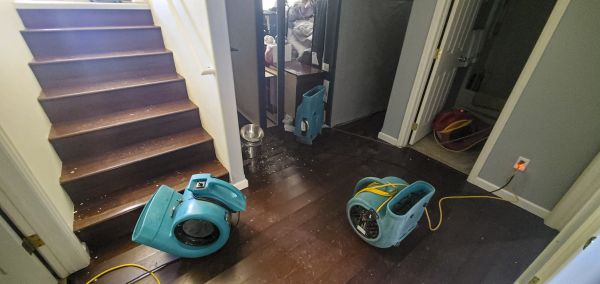 Water Damage Remediation in Saint Petersburg