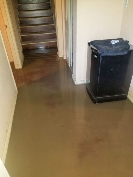 Emergency Water Removal in Saint Petersburg