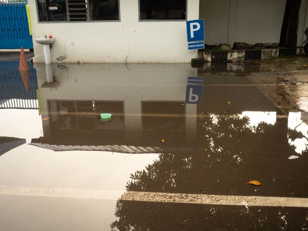 Storm Damage Repair in Saint Petersburg