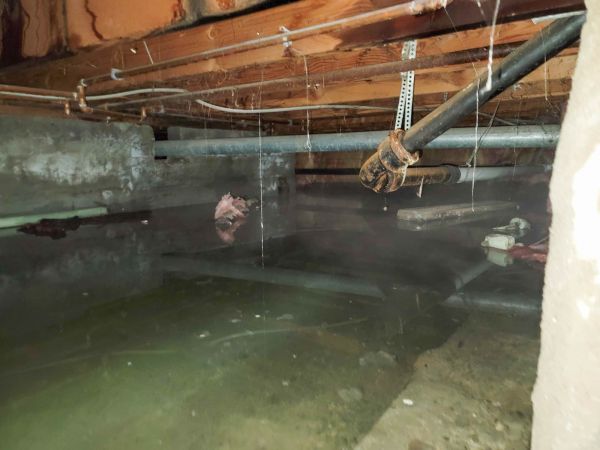 Cost of Crawl Space Drying in Saint Petersburg