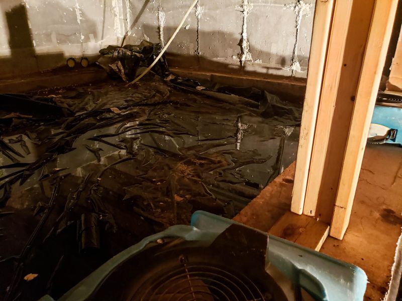 Basement Water Cleanup detail